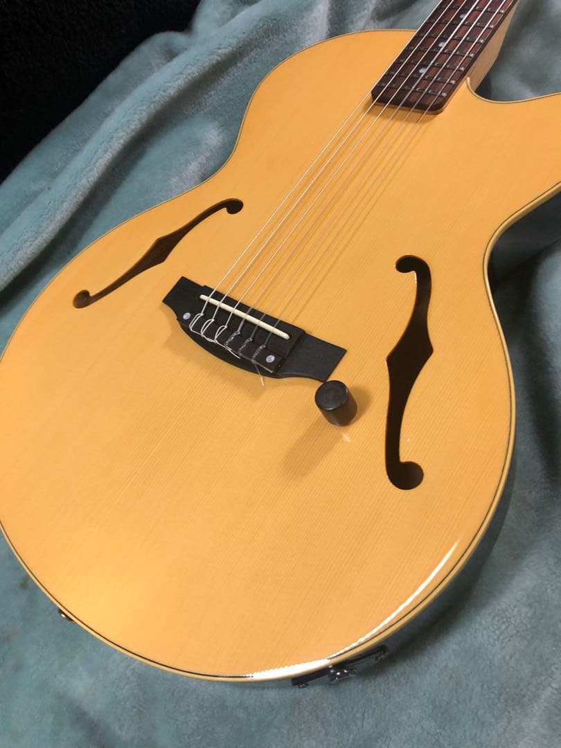 M*9様 ヤマハ　AEX500N エレガット