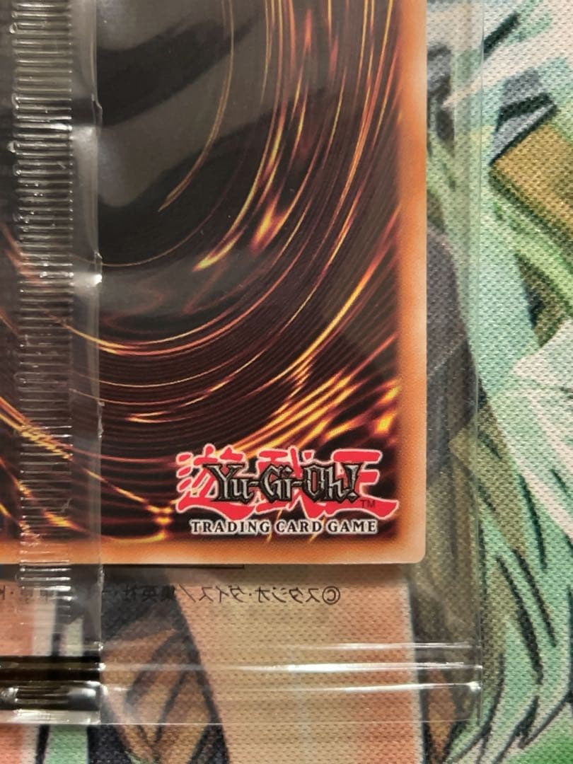 遊戯王　日本選手権　Dragon of Illumination