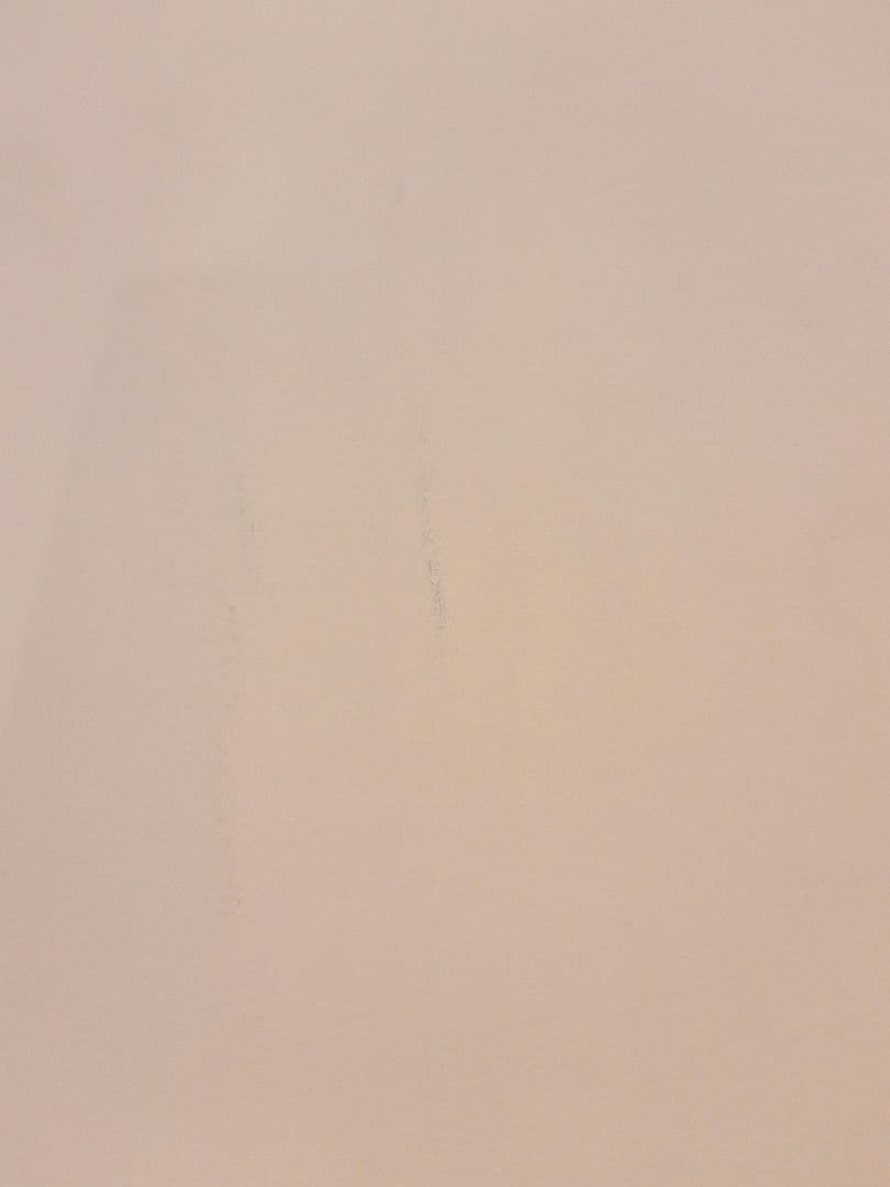 天空の城ラピュタ　ポスター［D］