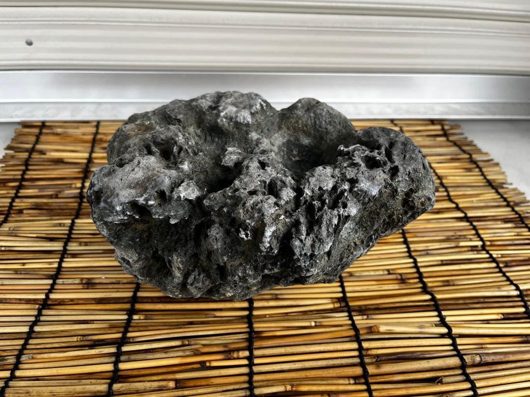 佐治石〈17〉【Taiyoメダカ】