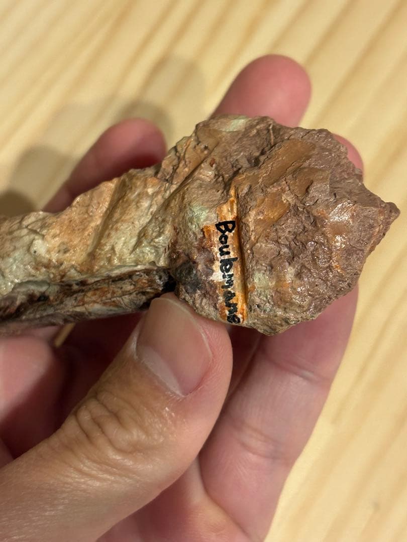 メガロサウルスの歯　化石　モロッコ　恐竜