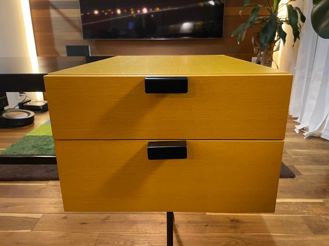 【しんちゃんさん専用】ピエールポラン F031 メトロクス