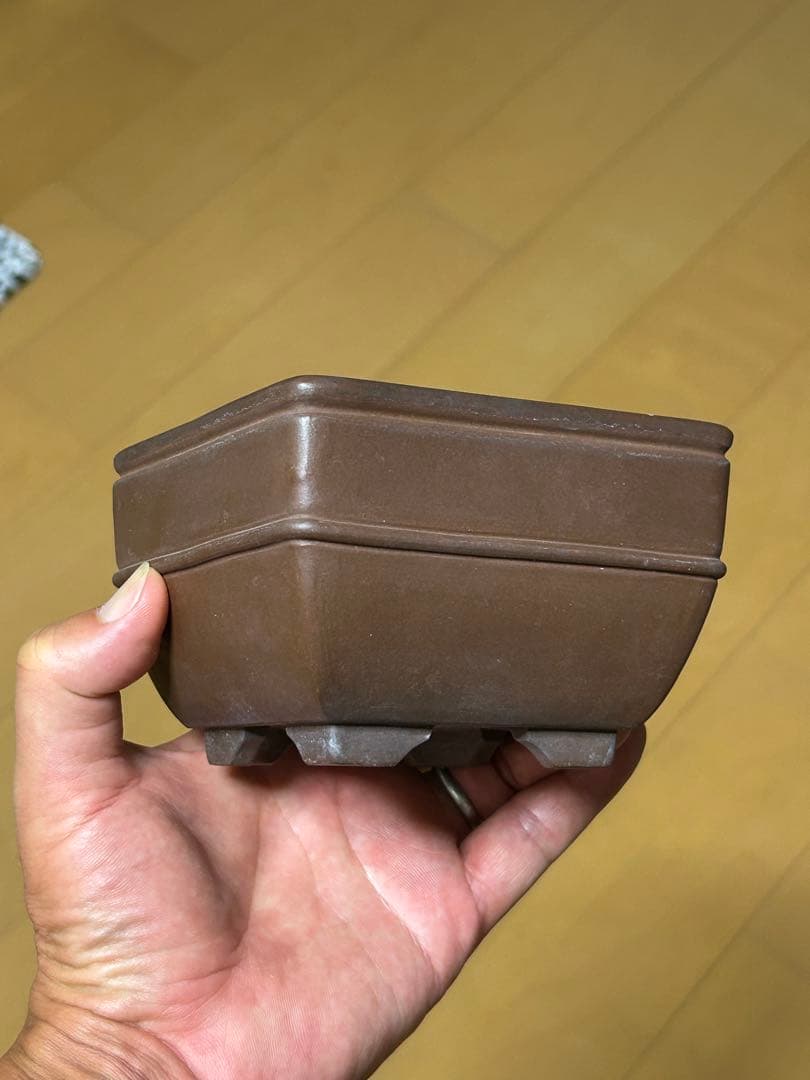 【盆栽鉢】 中国鉢 落款印あり 紫砂 胴紐正方鉢