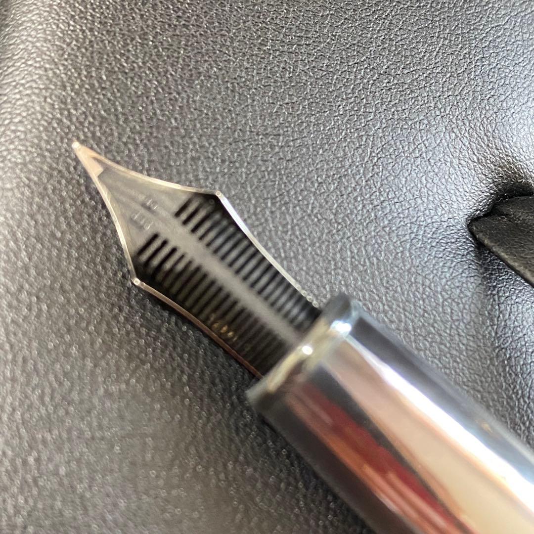 アウロラ　限定万年筆　オチェアーノインディアーノ　EF