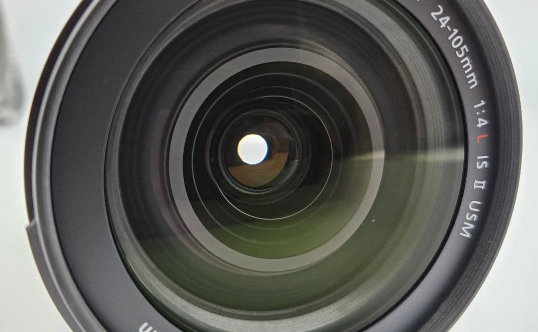 Canon EOS 6DMarkⅡ EF24-105mmf4L IS Ⅱ USM