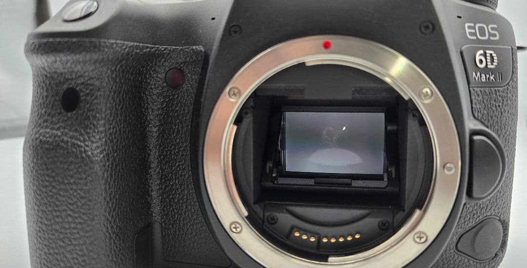 Canon EOS 6DMarkⅡ EF24-105mmf4L IS Ⅱ USM