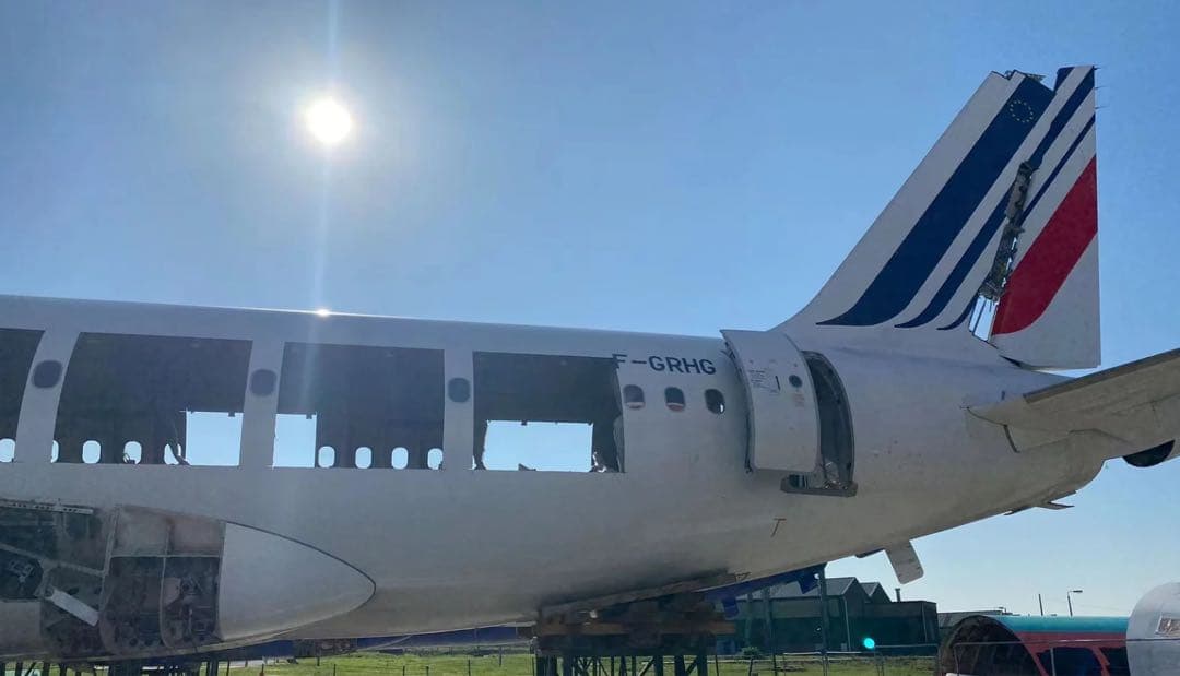 エールフランス Airlinertags A319-111 スペシャル柄