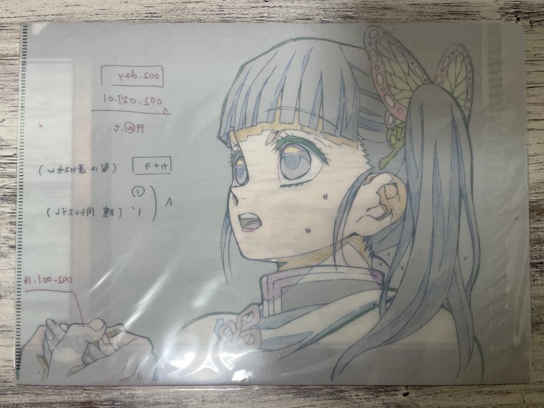 鬼滅の刃　栗花落カナヲ　クリアファイル