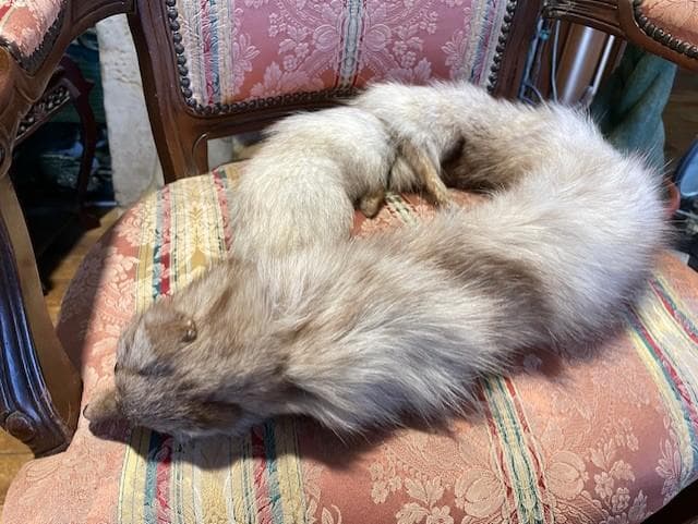 クリーム色のファーコート