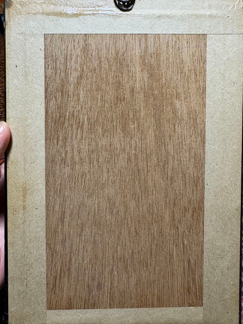 標本 2体セット 額入り ゴールデンモス ストライプドモス パピヨン