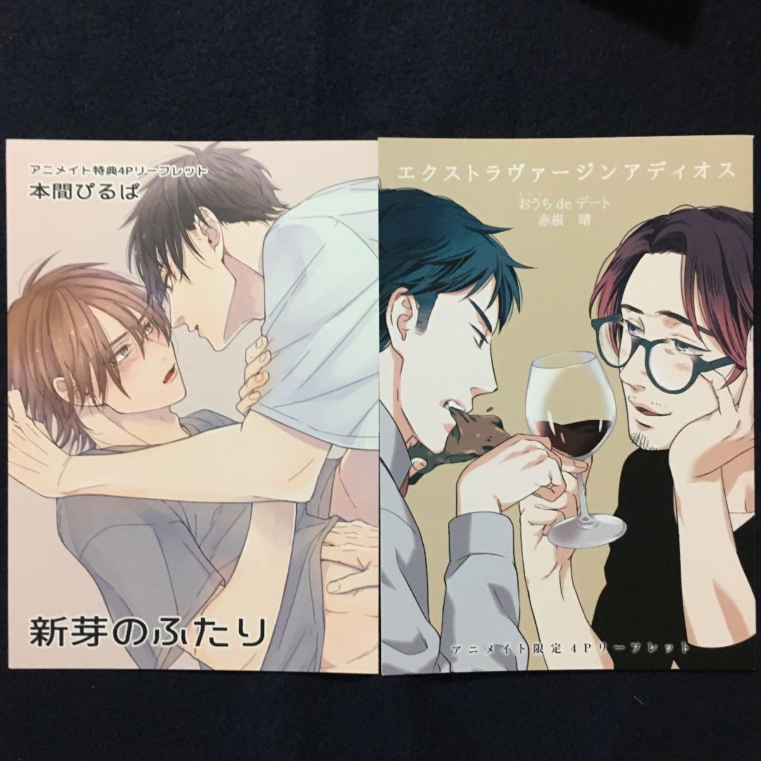 アニメイト限定4Pリーフレット・送料込