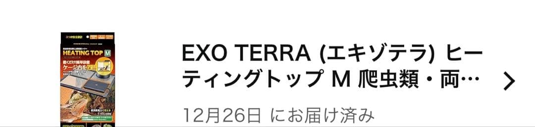 最終価格 爬虫類ケージ セット グラステラリウム他