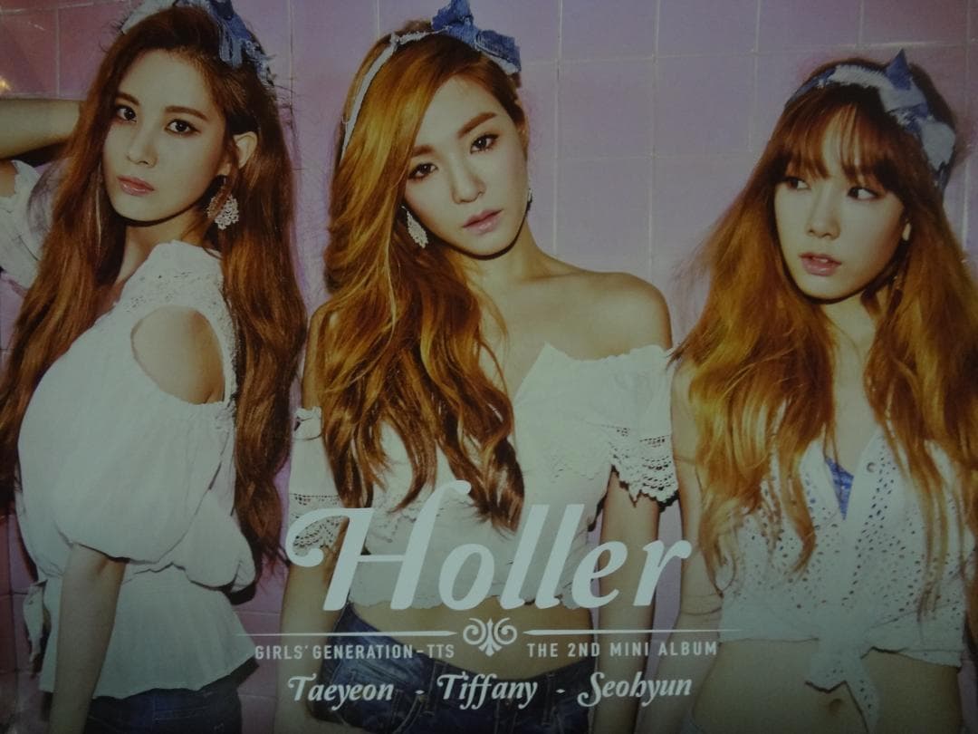 Ａ1サイズ入手困難非売品ポスター100枚セット●アニメゲームアーティスト