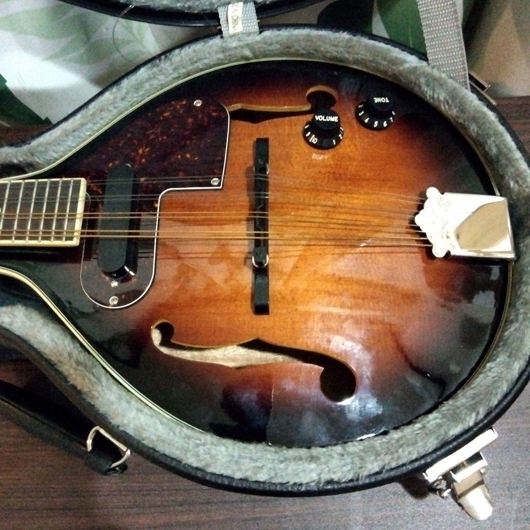 エレクトリックマンドリン サンバースト　エレキマンドリン