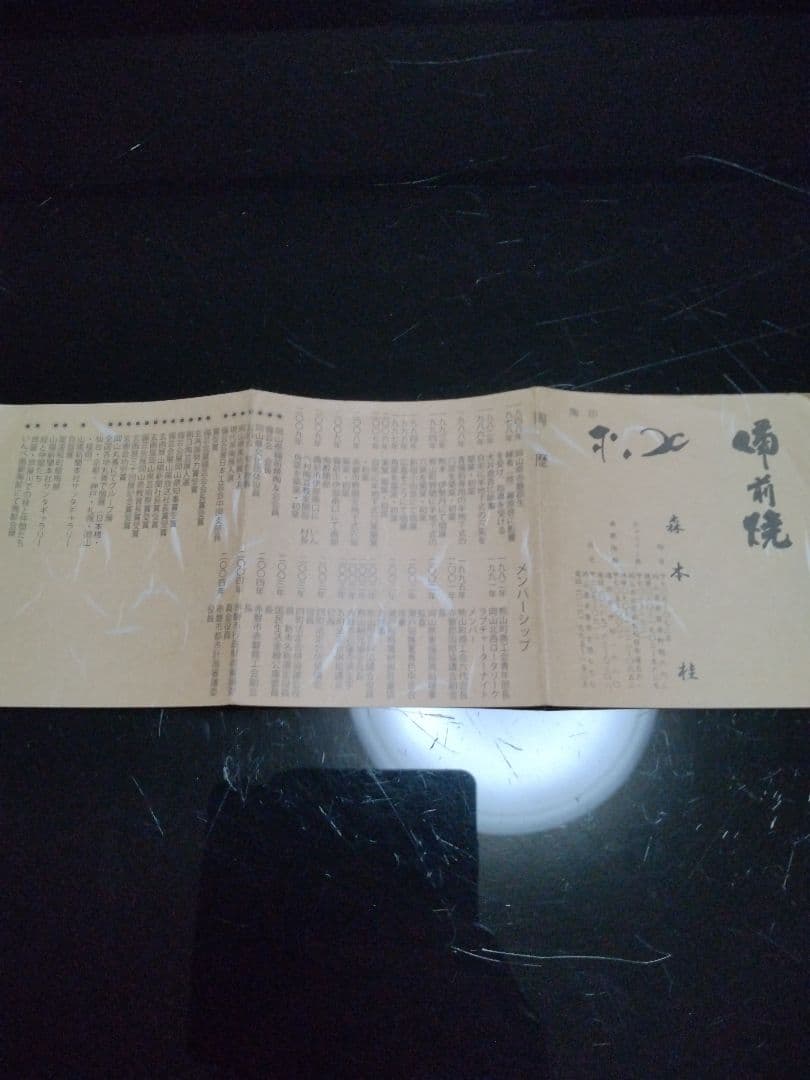 【備前焼 茶碗④】抹茶茶碗／伝統工芸士 森本 桂／送料込み！