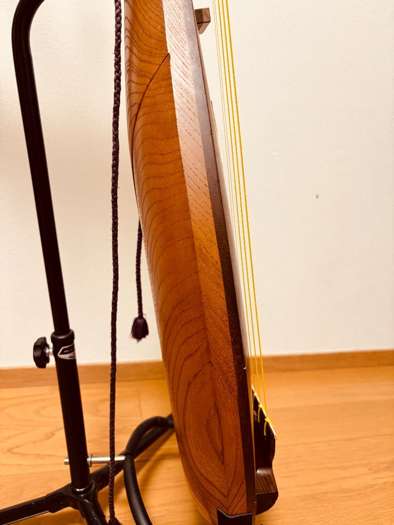 薩摩琵琶 石田不識 五弦 琵琶 撥(柘植)・柱カバー・ソフトケース付