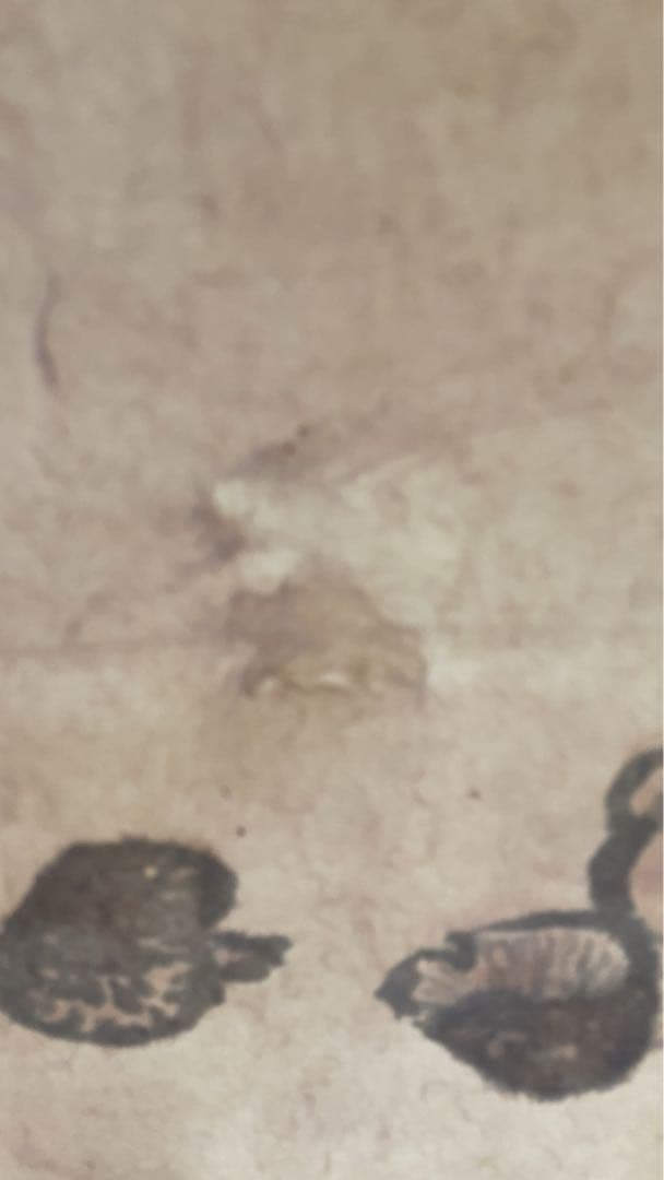 武者小路実篤　掛軸　肉筆