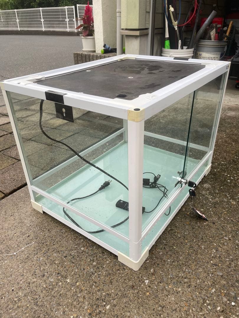 引き取り限定！レプティワイルド パンテオン 6045 暖突ち付き！