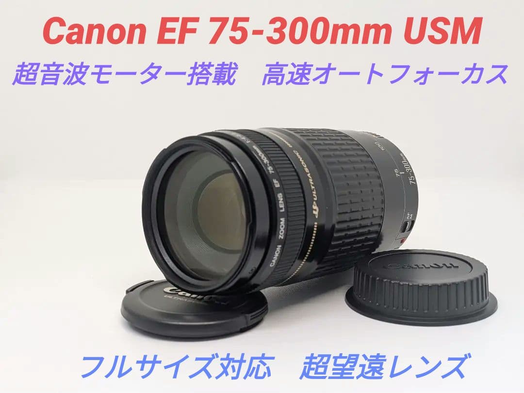 2月11日限定価格【超望遠レンズ】Canon EF 75-300mm USM
