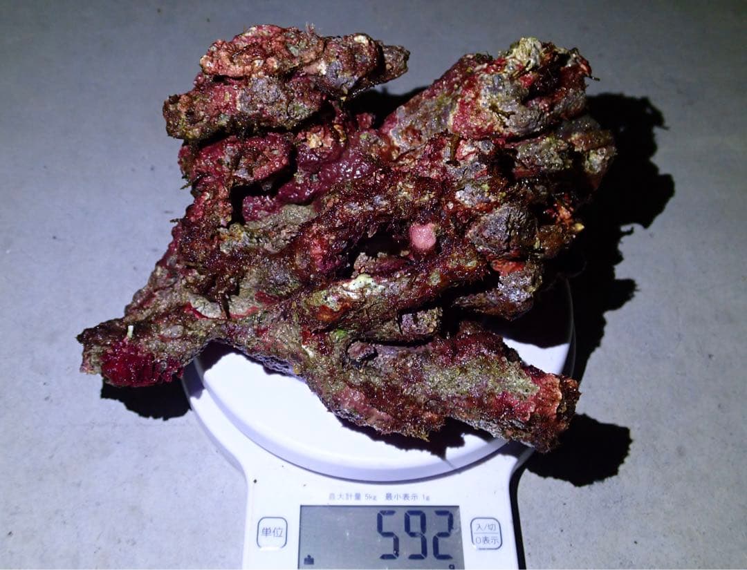 ライブロック　約3.6kg