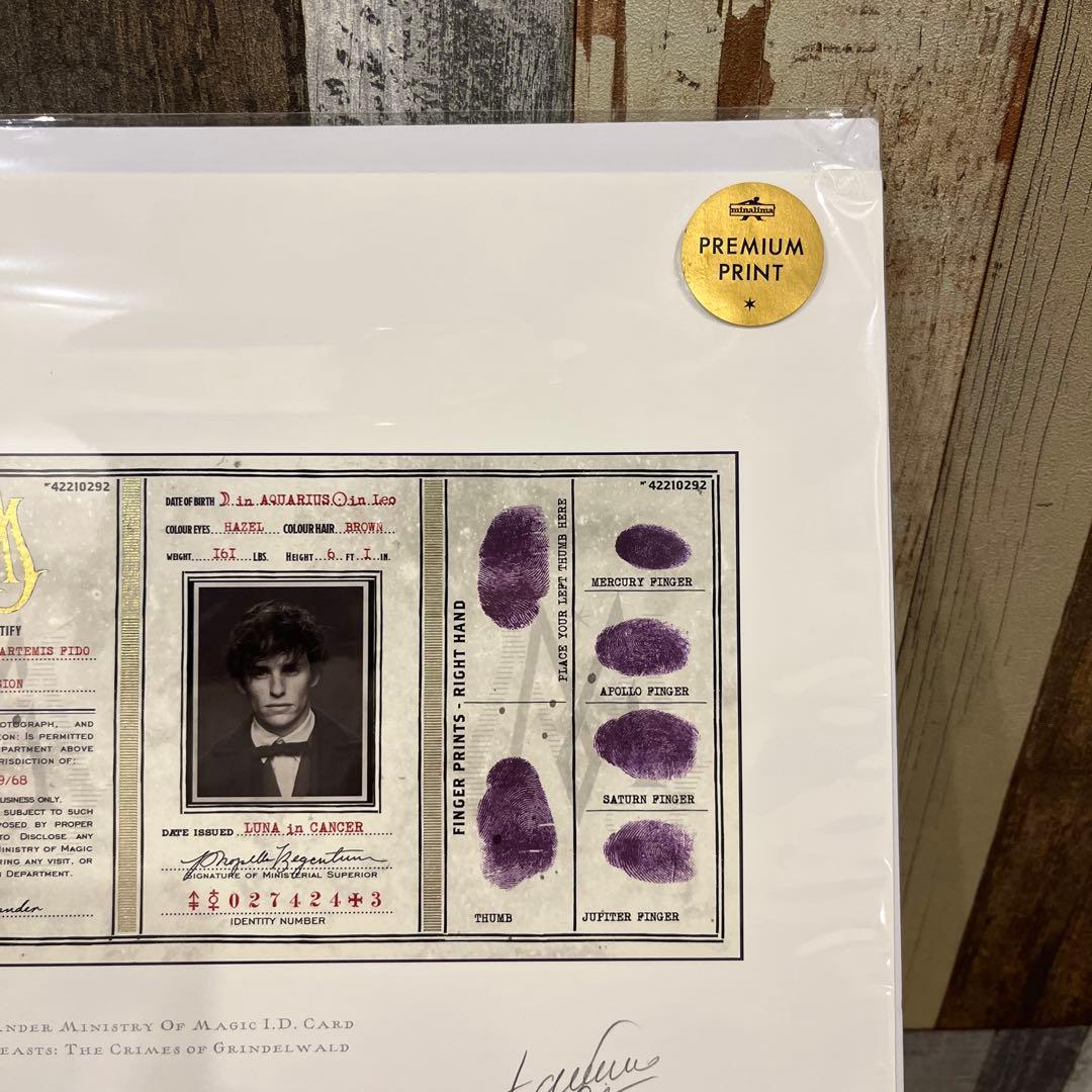 【世界限定250枚】ミナリマ 魔法省 IDカード 限定版 83/250