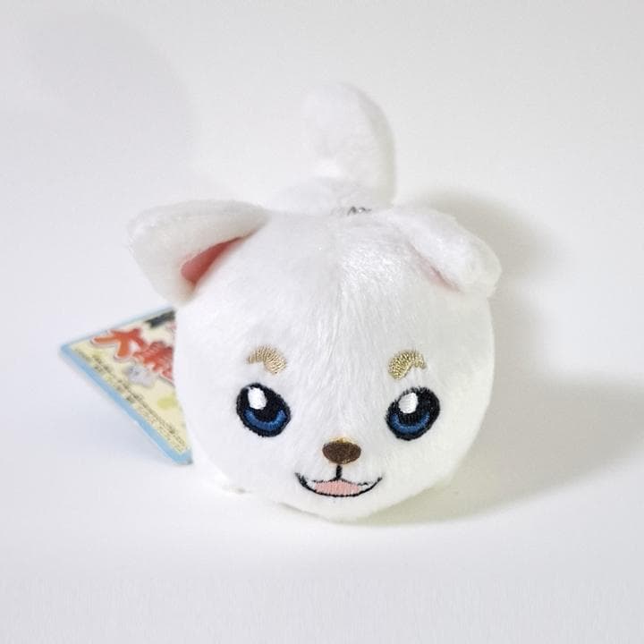 銀魂 わんにゃん大集合 銀時 桂 定春 いぬ ねこ ぬいぐるみ マスコット