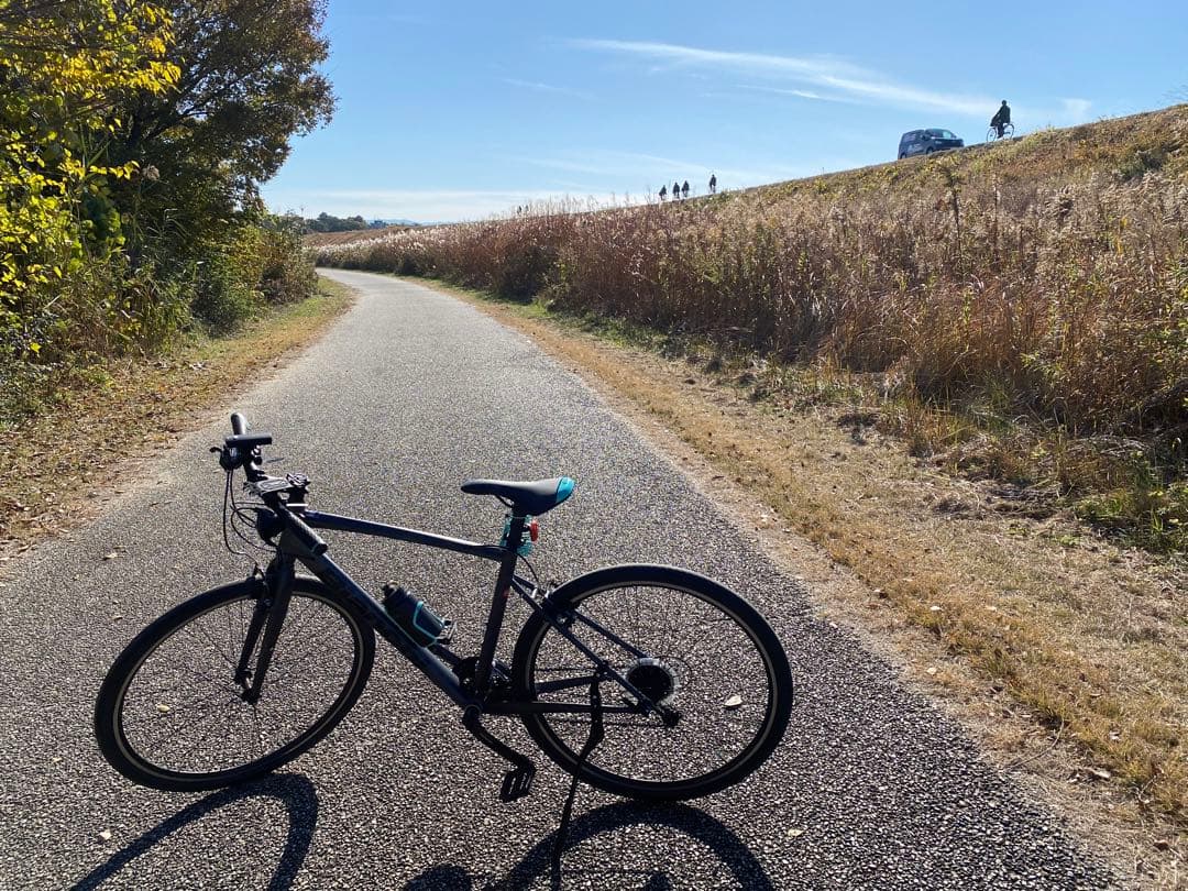 【BIANCHI 】C SPORT1