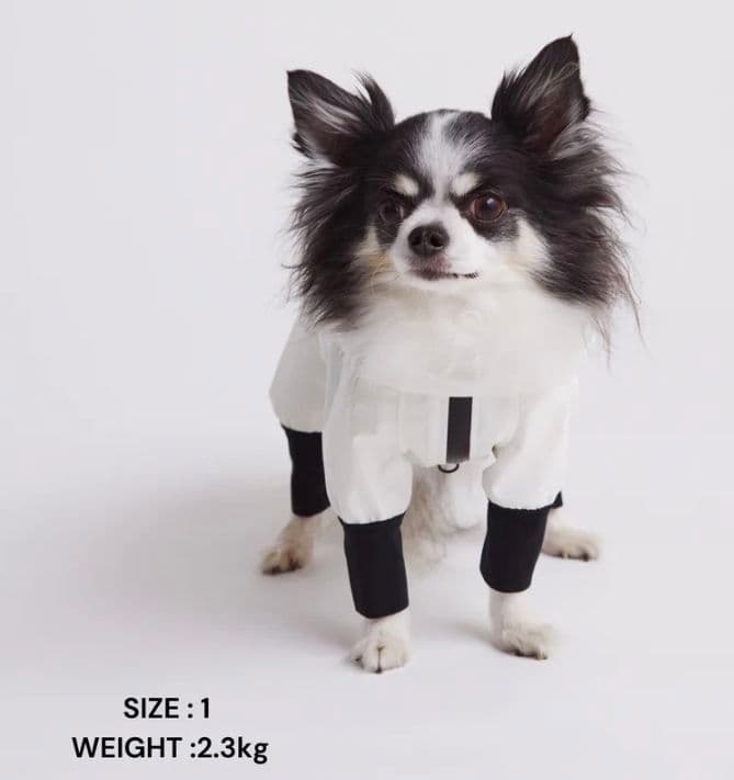 犬用レインコート/STANDING ON THE BLUE