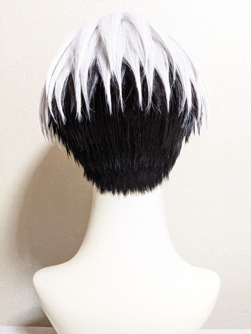 ✠草薙理解 ウィッグ✠セット済 カリスマ コスプレ
