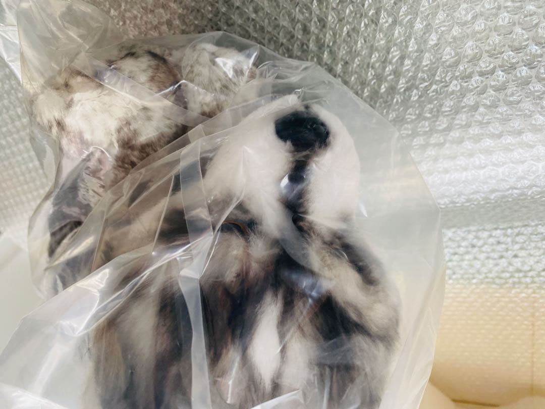 FINAL FANTASY XVI トルガル