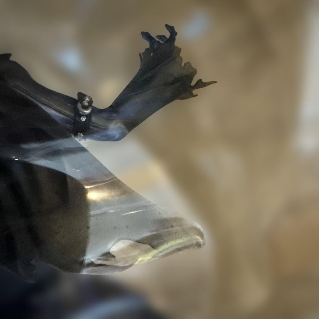 Lucrea ペルソナ５ザ・ロイヤル クロウ ロキver　明智吾郎