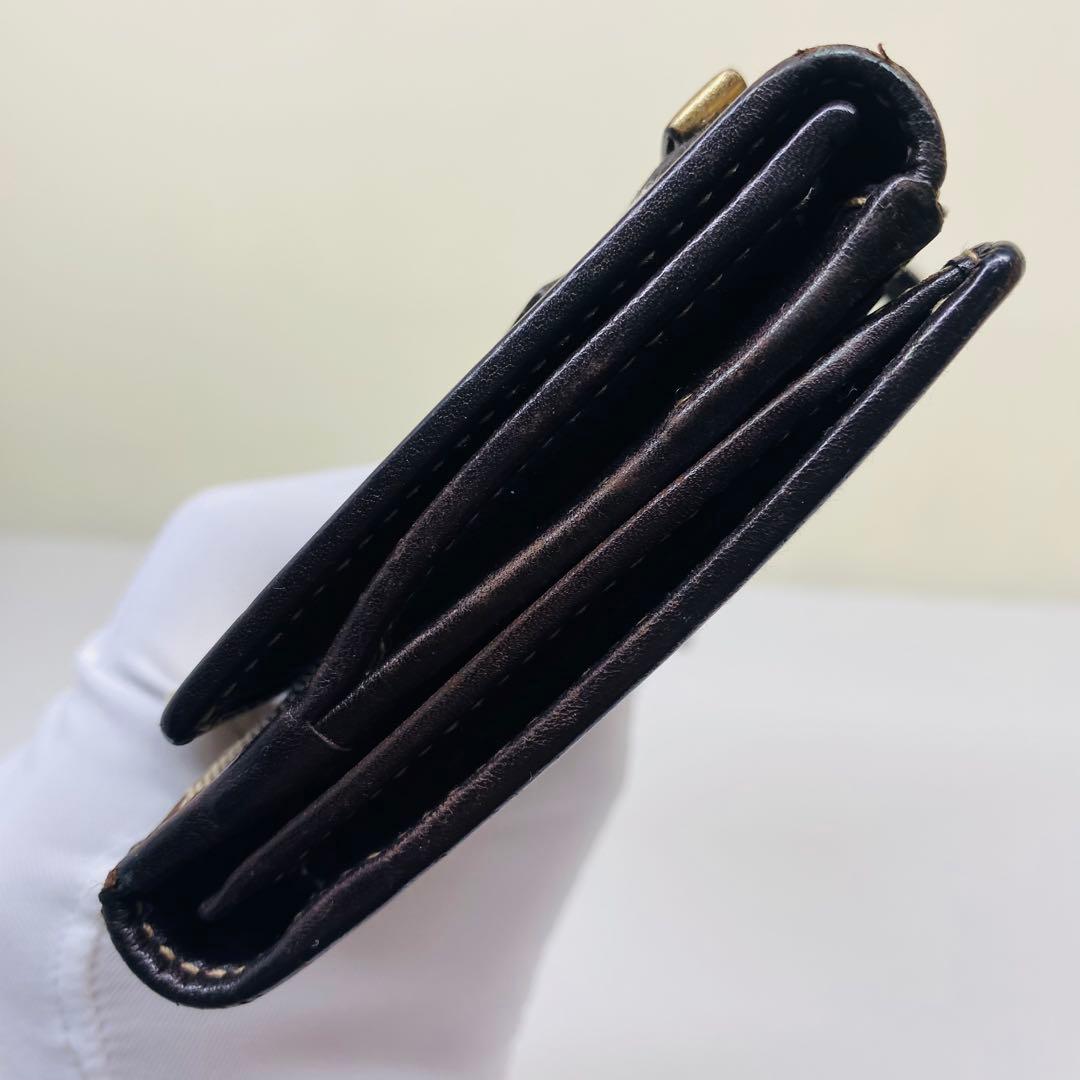 【希少】GUCCI GGキャンバス　グッチョリ　チワワ　Wホック　長財布