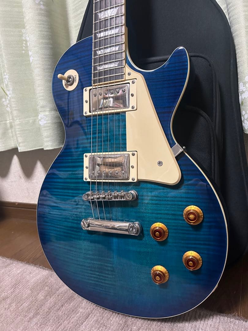 ギター Epiphone Les Paul standard pro