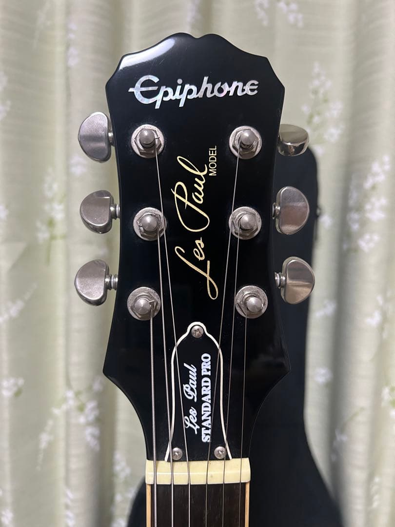 ギター Epiphone Les Paul standard pro