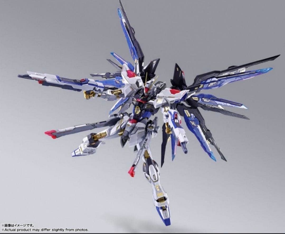 メタルビルド ストライクフリーダムガンダム 2024 & 光の翼オプションセット