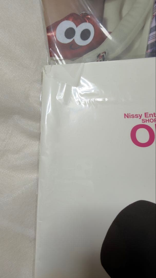 Nissy Style Book パンフレット