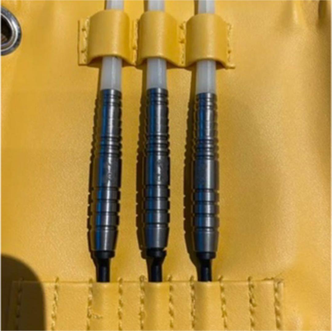 【RYUダーツ】緑龍 新品未使用