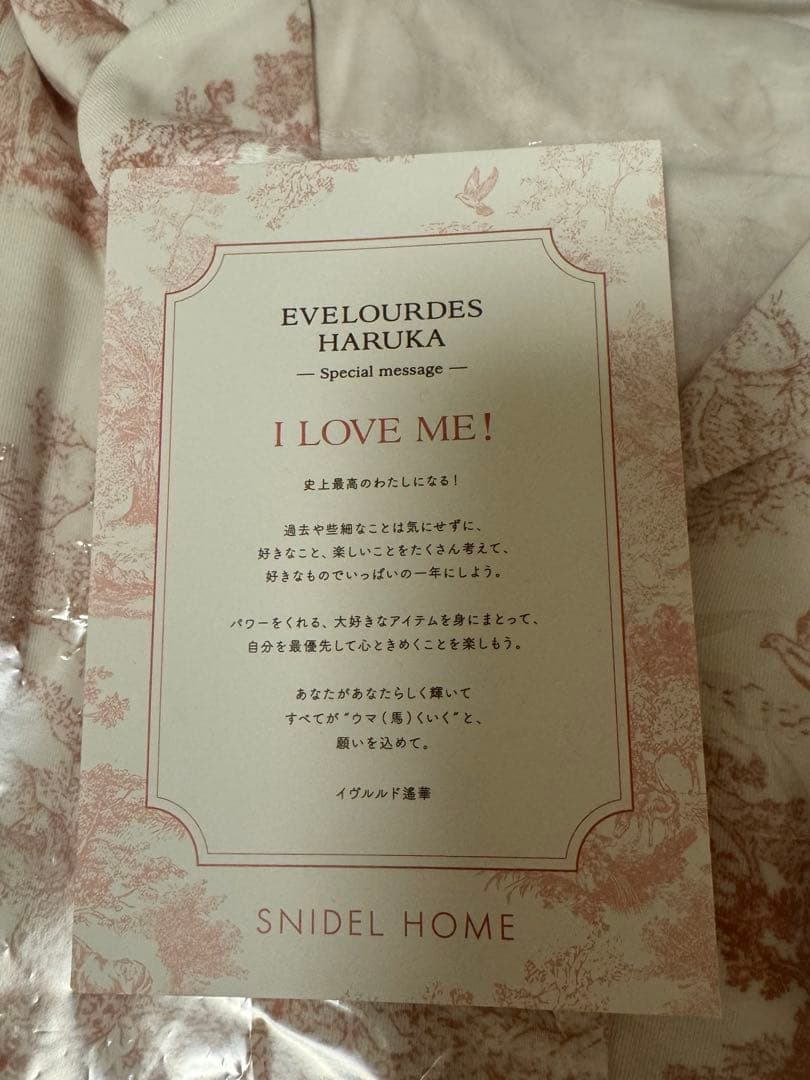 スナイデルホーム 福袋 2026 新品未開封