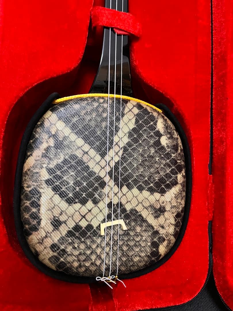 三線 沖縄 蛇革模様 ハードケース付