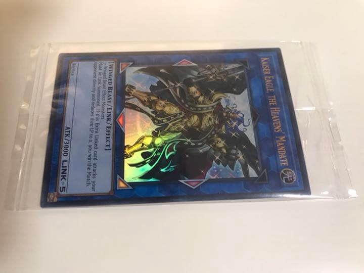 遊戯王 天元の荒鷲王 店舗代表決定戦プロモ 未開封