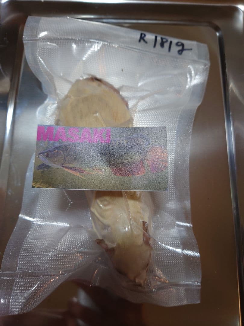 ✨初出品限定✨ 3名様特価 ✨冷凍ヤワゲネズミ ラット マウス【真空パック保存】