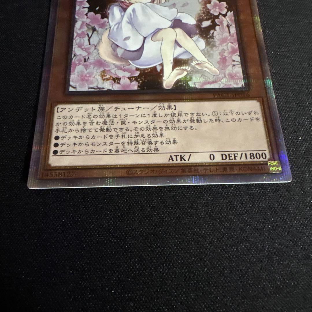 遊戯王　灰流うらら　絵違い　25thシークレットレア1枚 ①