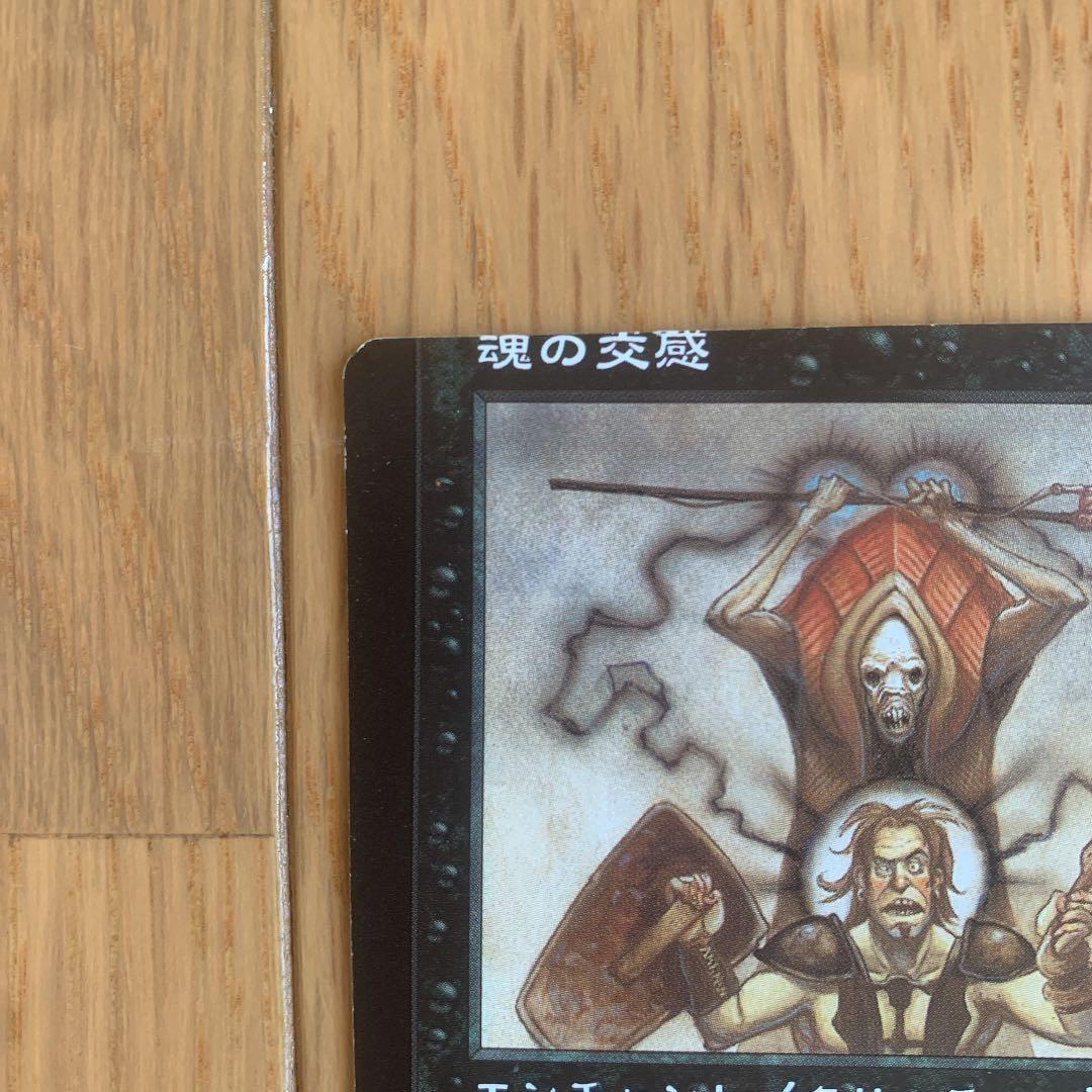 MTG 日本語  エラーミスカット