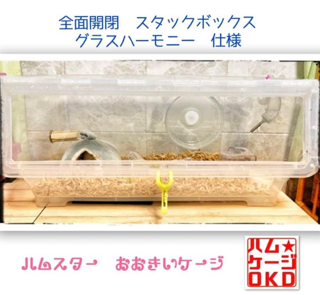 ラスト1品　ハムスター　大きいサイズ　ケージ　21ホイール&ボトル付きセット