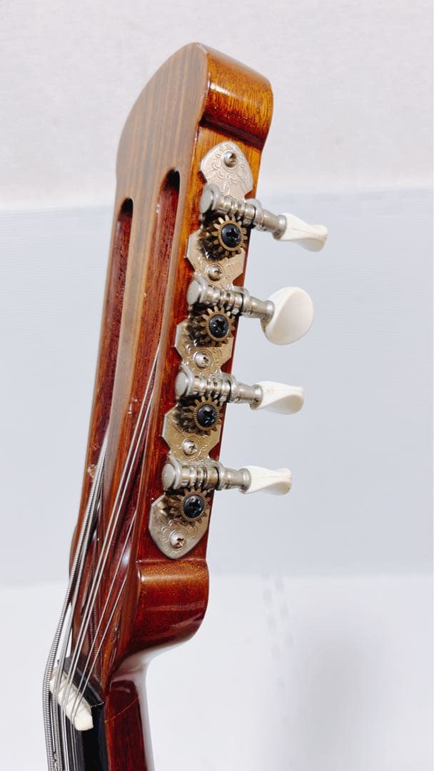 【美品 メンテ済】落合大悟郎 マンドラ D-2 最高級 岩本ケース付