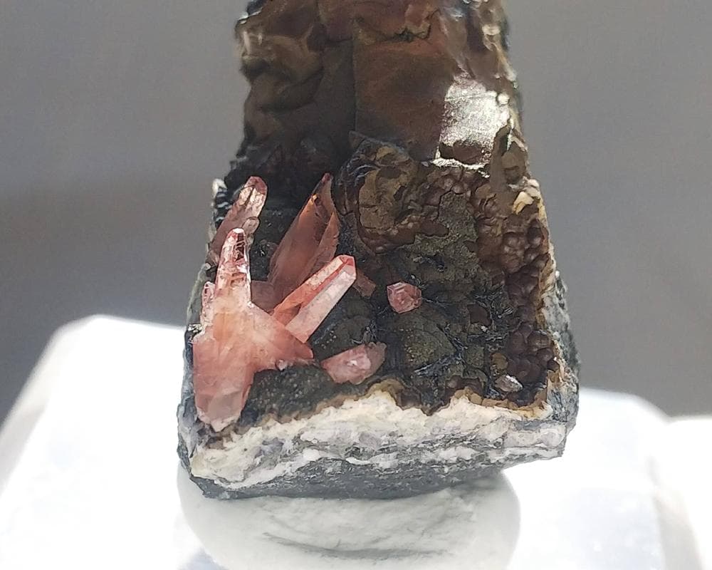 337 ロードクロサイト インカローズ 犬牙状 結晶 母岩付き