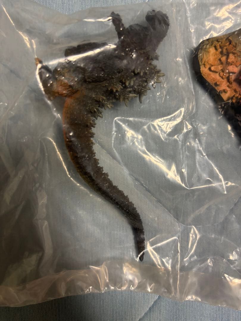 〈新品未使用〉ゴジラ全集Final ゴジラvsキングギドラ（札幌テレビ塔）