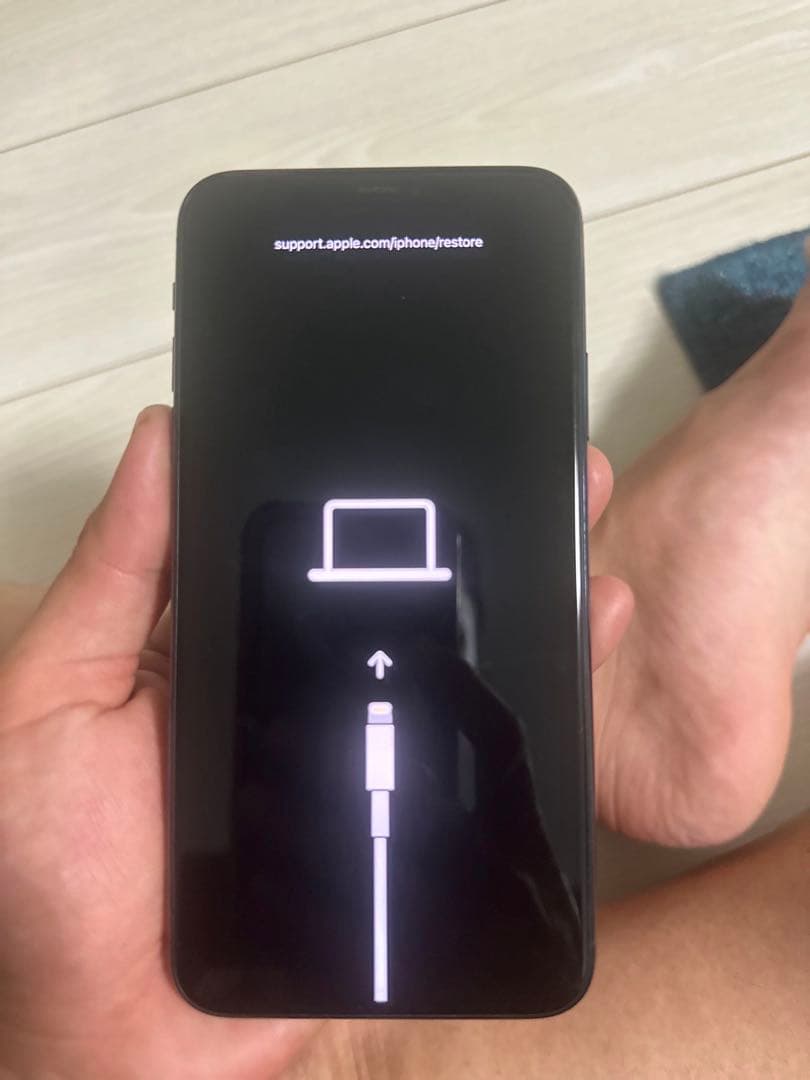 なつ。 Apple iPhone 11 Promax256GB ジャンク