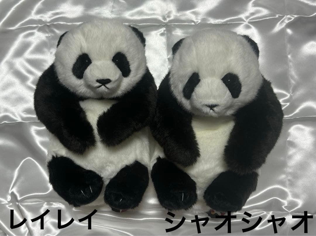 上野動物園 パンダ ぬいぐるみ抱っこミニ 暁暁 蕾蕾 シャオシャオ レイレイ