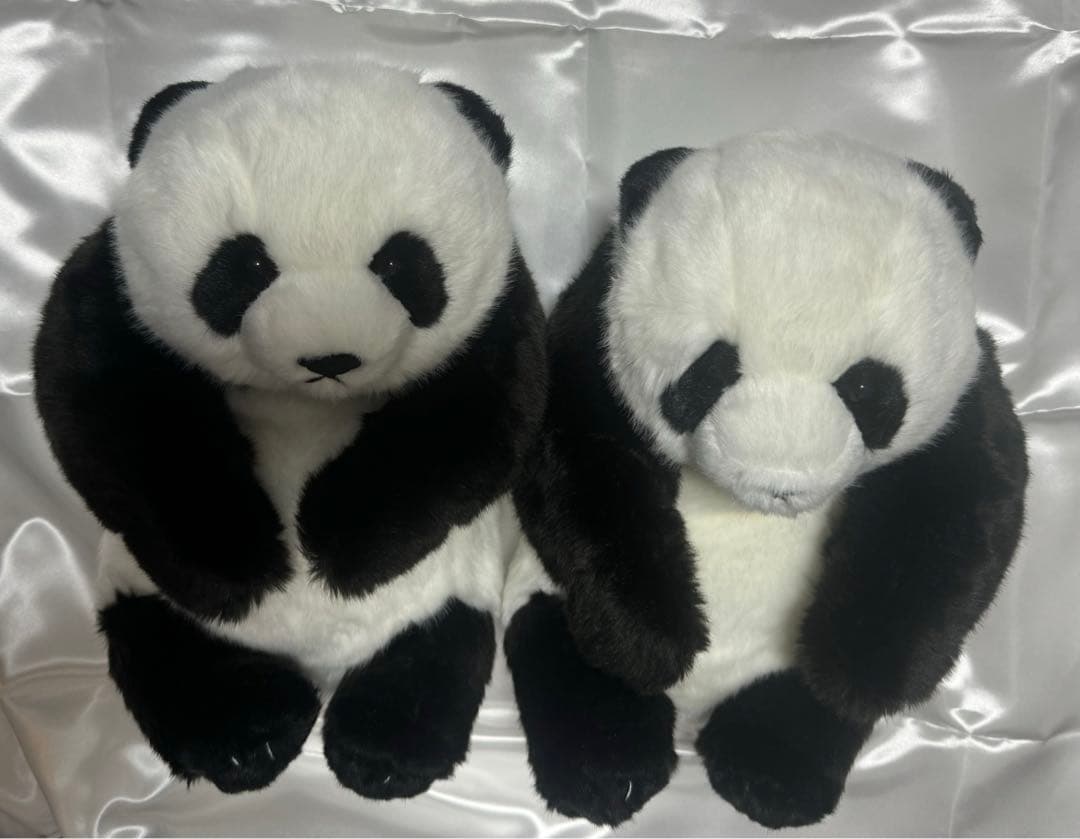 上野動物園 パンダ ぬいぐるみ抱っこミニ 暁暁 蕾蕾 シャオシャオ レイレイ